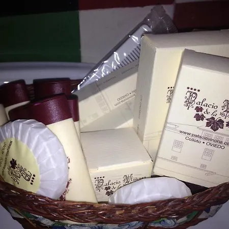 Palacio De La Vinona 4*