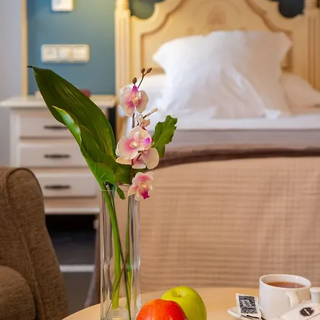 מלון Palacio De La Vinona 4*