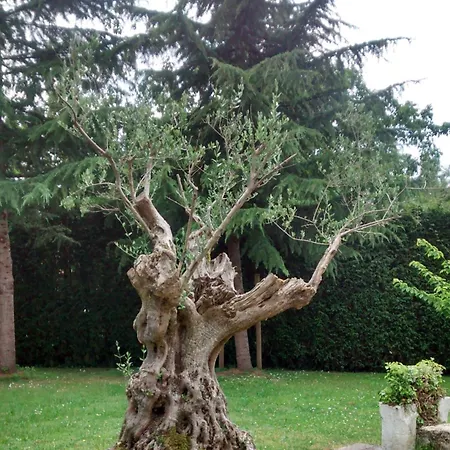 Szálloda Palacio De La Vinona Oviedo