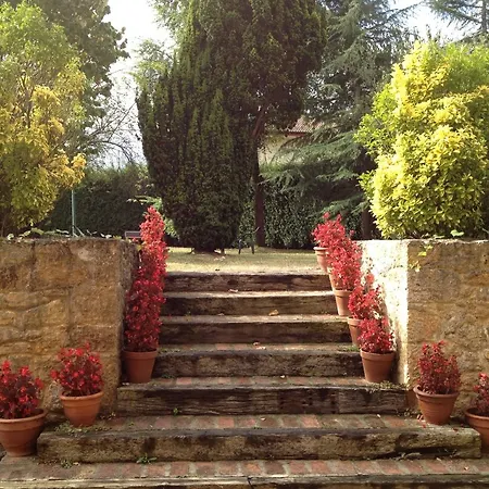 Palacio De La Vinona מלון