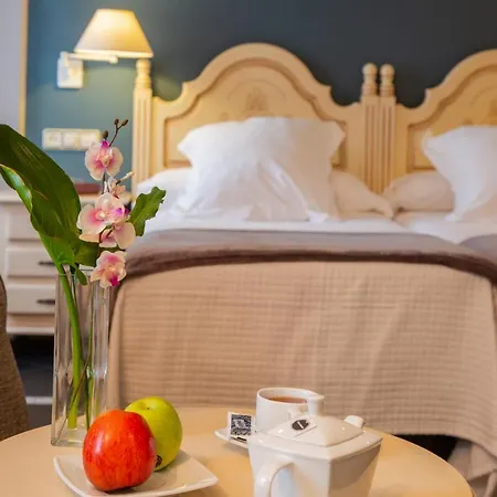 Palacio De La Viñona 4*