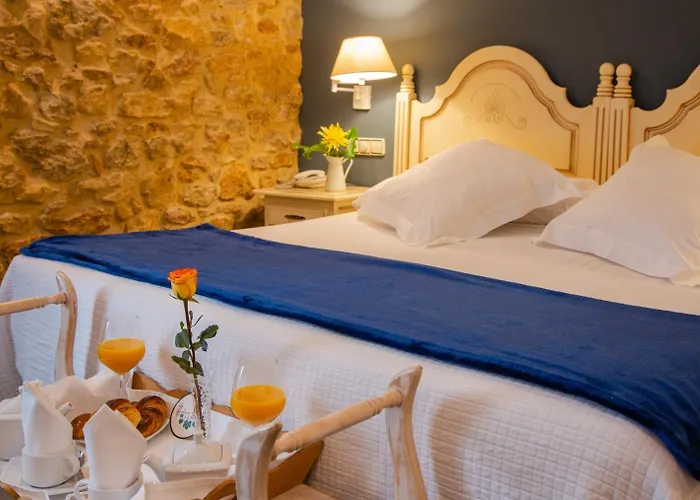 Hotel Palacio De La Viñona 4*