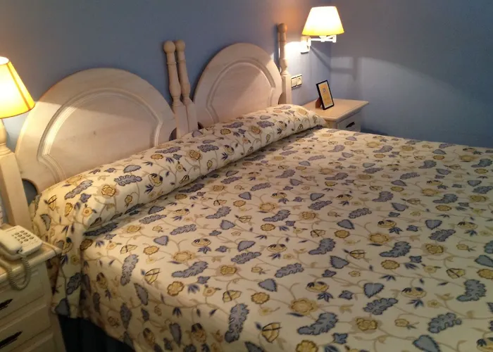 Hotel Palacio De La Viñona 4*